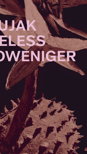 gebrauchtes Buch – Ines Doujak – Ines Doujak: Nichtsdestoweniger | Nevertheless