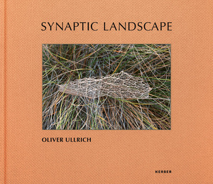 neues Buch – Oliver Ullrich / Synaptic Landscape