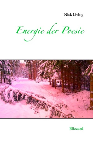 ISBN 9783735792075: Energie der Poesie – Blizzard