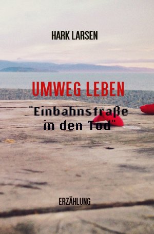 ISBN 9783737592314: Umweg Leben