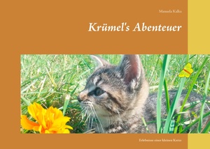 ISBN 9783738611663: Krümels Abenteuer - Erlebnisse einer kleinen Katze