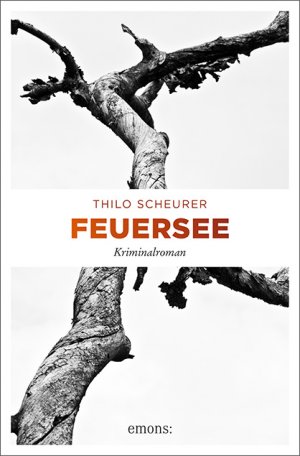 ISBN 9783740806767: Feuersee