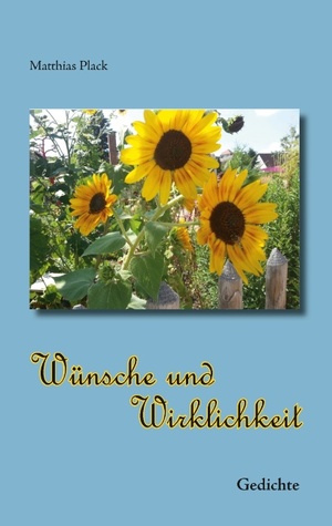 ISBN 9783741268267: Wünsche und Wirklichkeit