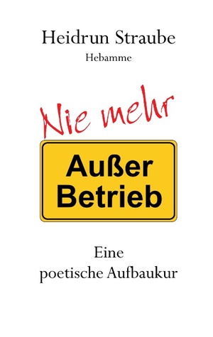 gebrauchtes Buch – Heidrun Straube – Nie mehr "Außer Betrieb" - Eine poetische Aufbaukur