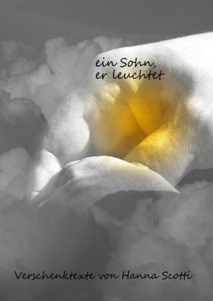 ISBN 9783741883583: ein Sohn, er leuchtet