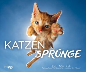 ISBN 9783742301529: Katzensprünge