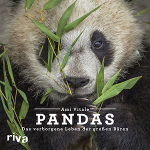 gebrauchtes Buch – Ami Vitale – Pandas - Das verborgene Leben der großen Bären