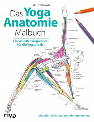 ISBN 9783742310002: Das Yoga-Anatomie-Malbuch | Ein visueller Wegweiser für die Yogapraxis. Mit über 30 Karten zum Heraustrennen | Kelly Solloway (u. a.) | Taschenbuch | 144 S. | Deutsch | 2019 | Riva | EAN 9783742310002