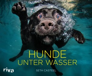 ISBN 9783742311740: Hunde unter Wasser