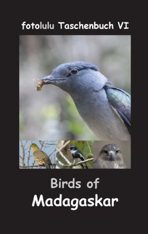 ISBN 9783743125209: Birds of Madagaskar