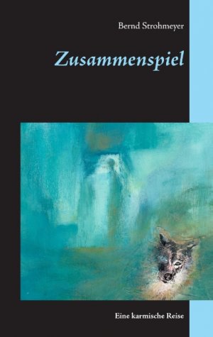 ISBN 9783743187733: Zusammenspiel