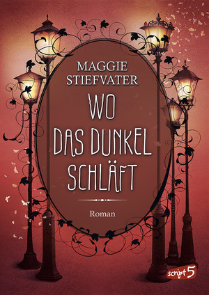 ISBN 9783743213739: Wo das Dunkel schläft (Band 4) – Entdecke die spannende Mischung aus Fantasy, Romantik und Spannung - Fantasyroman ab 14 Jahren