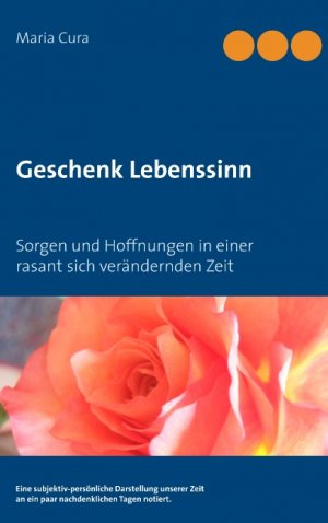 ISBN 9783744871518: Geschenk Lebenssinn – Sorgen und Hoffnungen in einer rasant sich verändernden Zeit