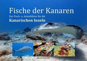 ISBN 9783745042412: Fische der Kanaren - Der Fisch - u. Artenführer für die Kanarischen Inseln