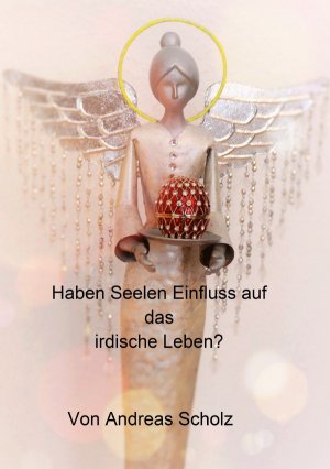 ISBN 9783745063691: Haben Seelen Einfluss auf das irdische Leben?