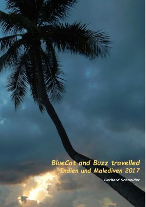 ISBN 9783745067170: Buzz travelled / BlueCat and Buzz travelled