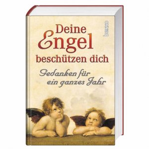 gebrauchtes Buch – Deine Engel beschützen dich