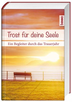 ISBN 9783746241562: Trost für deine Seele - Ein Begleiter durch das Trauerjahr