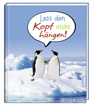 neues Buch – Lass den Kopf nicht hängen! | Buch | 32 S. | Deutsch | 2023 | St. Benno Verlag GmbH | EAN 9783746264073