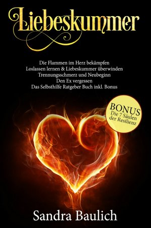 ISBN 9783748505006: Liebeskummer