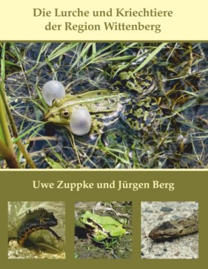 ISBN 9783749430376: Die Lurche und Kriechtiere der Region Wittenberg