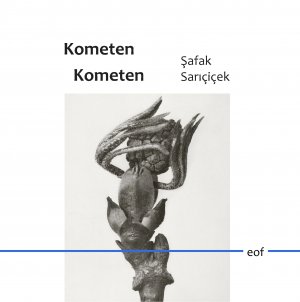 ISBN 9783749495672: Kometen Kometen – Gedichte