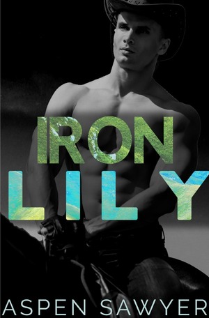 ISBN 9783750240513: Cowboys der Savanne / Iron Lily