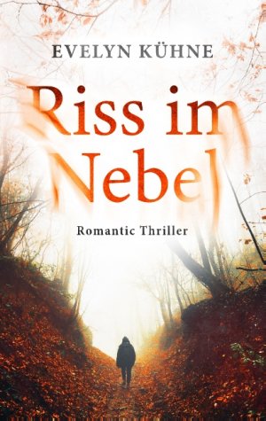 gebrauchtes Buch – Evelyn Kühne – Riss im Nebel