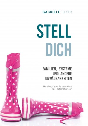 ISBN 9783750490901: Familien, Systeme und andere Unwägbarkeiten – Handbuch zum Systemstellen für Fortgeschrittene