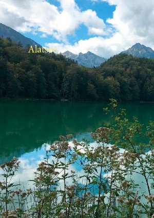 ISBN 9783750496811: Alatsee