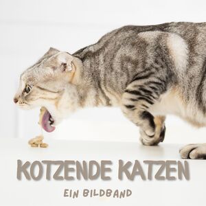 ISBN 9783750506404: Kotzende Katzen - Ein Bildband