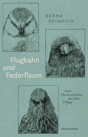 gebrauchtes Buch – Bernd Heinrich – Flugbahn und Federflaum - Vom Beobachten wilder Vögel