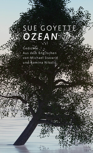 ISBN 9783751809719: Ozean – Gedichte