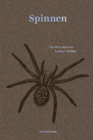 ISBN 9783751840200: Spinnen – Ein Portrait