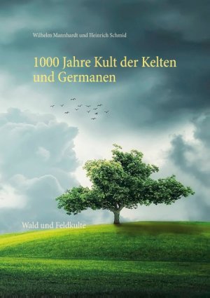 ISBN 9783751970679: 1000 Jahre Kult der Kelten und Germanen - Wald und Feldkulte