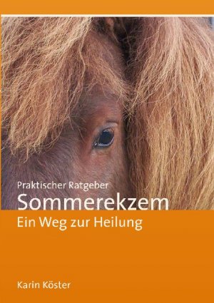 ISBN 9783752625066: Praktischer Ratgeber Sommerekzem - Ein Weg zur Heilung