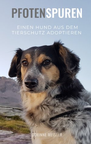 ISBN 9783752804959: Pfotenspuren – Einen Hund aus dem Tierschutz adoptieren