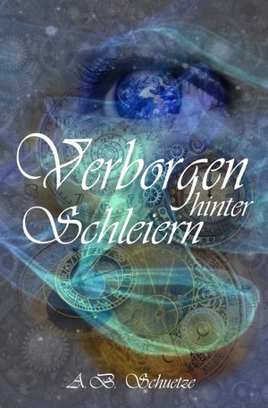 ISBN 9783753102795: Salwidizer / „Verborgen hinter Schleiern“