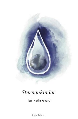 ISBN 9783753162591: Sternenkinder – funkeln ewig