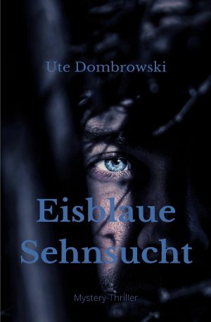 ISBN 9783753178967: Eisblaue Sehnsucht