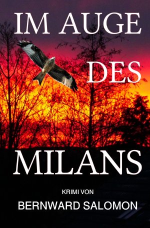 neues Buch – Bernward Salomon – Im Auge des Milans neues Buch – Bernward Salomon – Im Auge des Milans