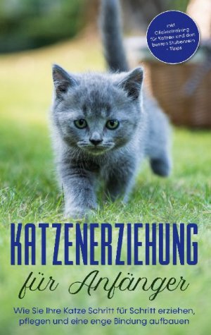 neues Buch – Leonie Fokken – Katzenerziehung für Anfänger: Wie Sie Ihre Katze Schritt für Schritt erziehen, pflegen und eine enge Bindung aufbauen - inkl. Clickertraining für Katzen und den besten Stubenrein - Tipps / Fokken