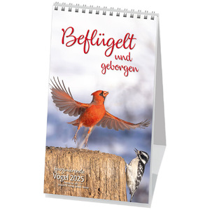 ISBN 9783754879757: Beflügelt und geborgen – Vögel 2025