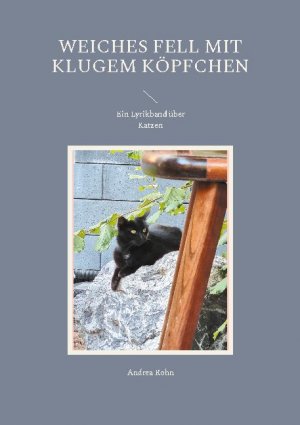 ISBN 9783755716174: Weiches Fell mit klugem Köpfchen – Ein Lyrikband über Katzen