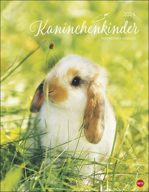 gebrauchtes Buch – Wegler Monika – Kaninchenkinder Posterkalender 2024 von Monika Wegler. Ein bezaubernder Tierkalender mit süßen Fotos. Dekorativer Kalender für Tierfreunde. Hochformat 34 x 44 cm.