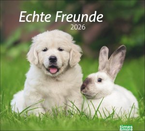 ISBN 9783756413492: times&more Echte Freunde Bildkalender 2026