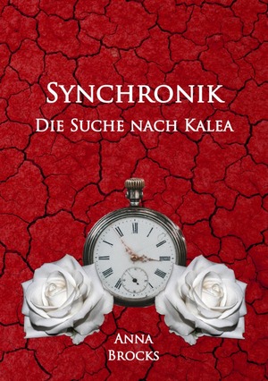 gebrauchtes Buch – Anna Brocks – Synchronik