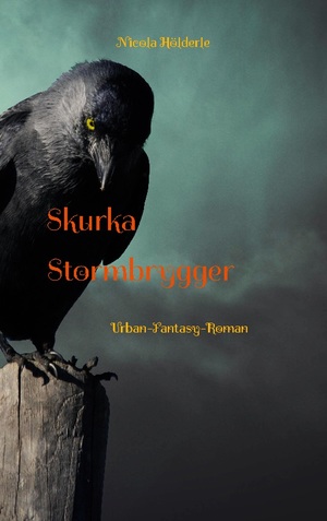 ISBN 9783756801954: Skurka Stormbrygger