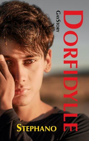 ISBN 9783757853709: Dorfidylle – GayStory