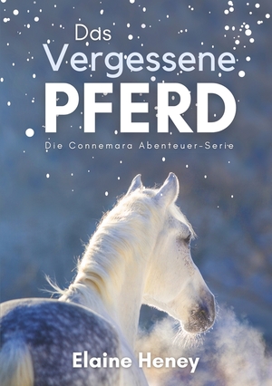 ISBN 9783757908911: Das vergessene Pferd - Die Connemara Abenteuer-Serie